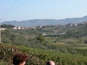 Panorama di Cerreto
Guidi tra i vigneti
(6705 bytes)